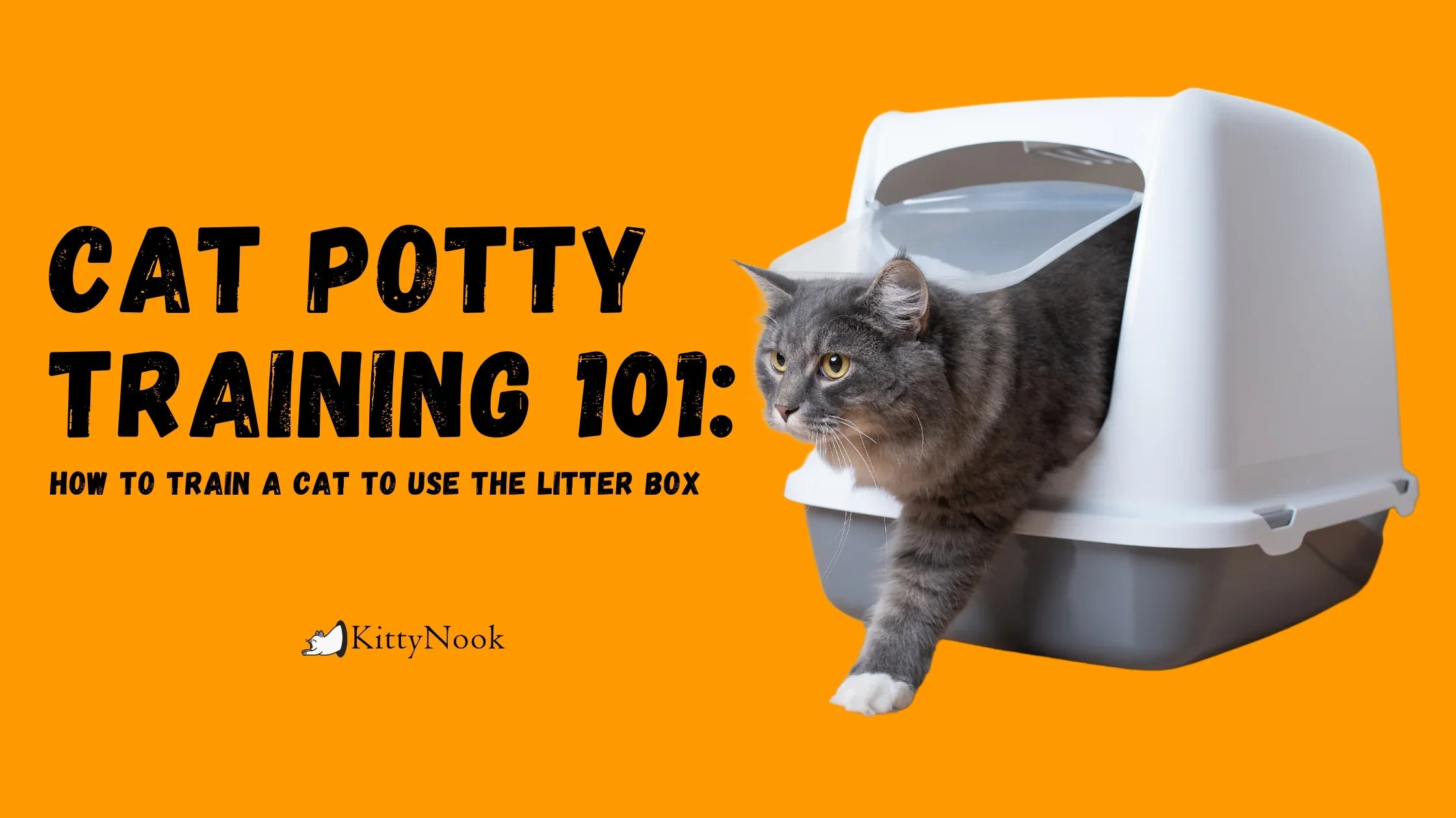 Cat Potty Training 101: How to Train a Cat to Use the Litter Box - KittyNook Cat Company