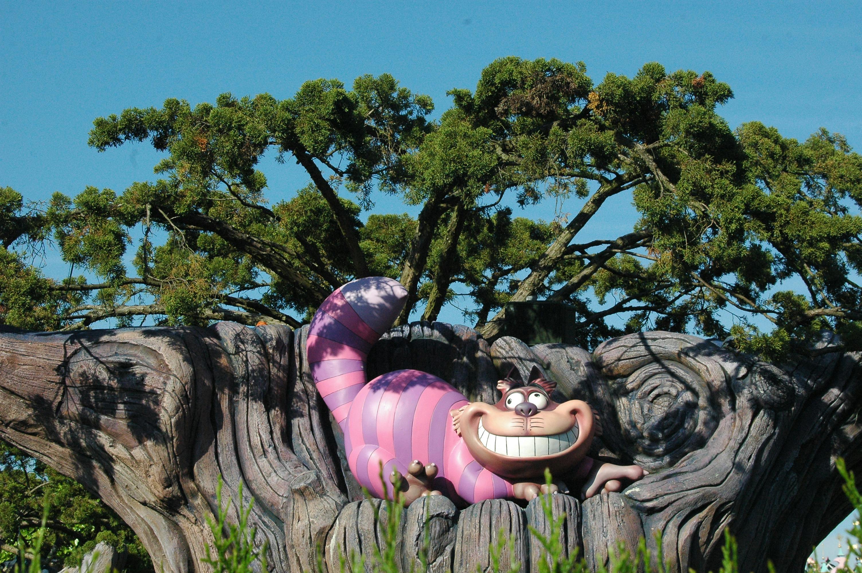 Smiling Cheshire Cat Decoration under Trees | Kitty Nook
