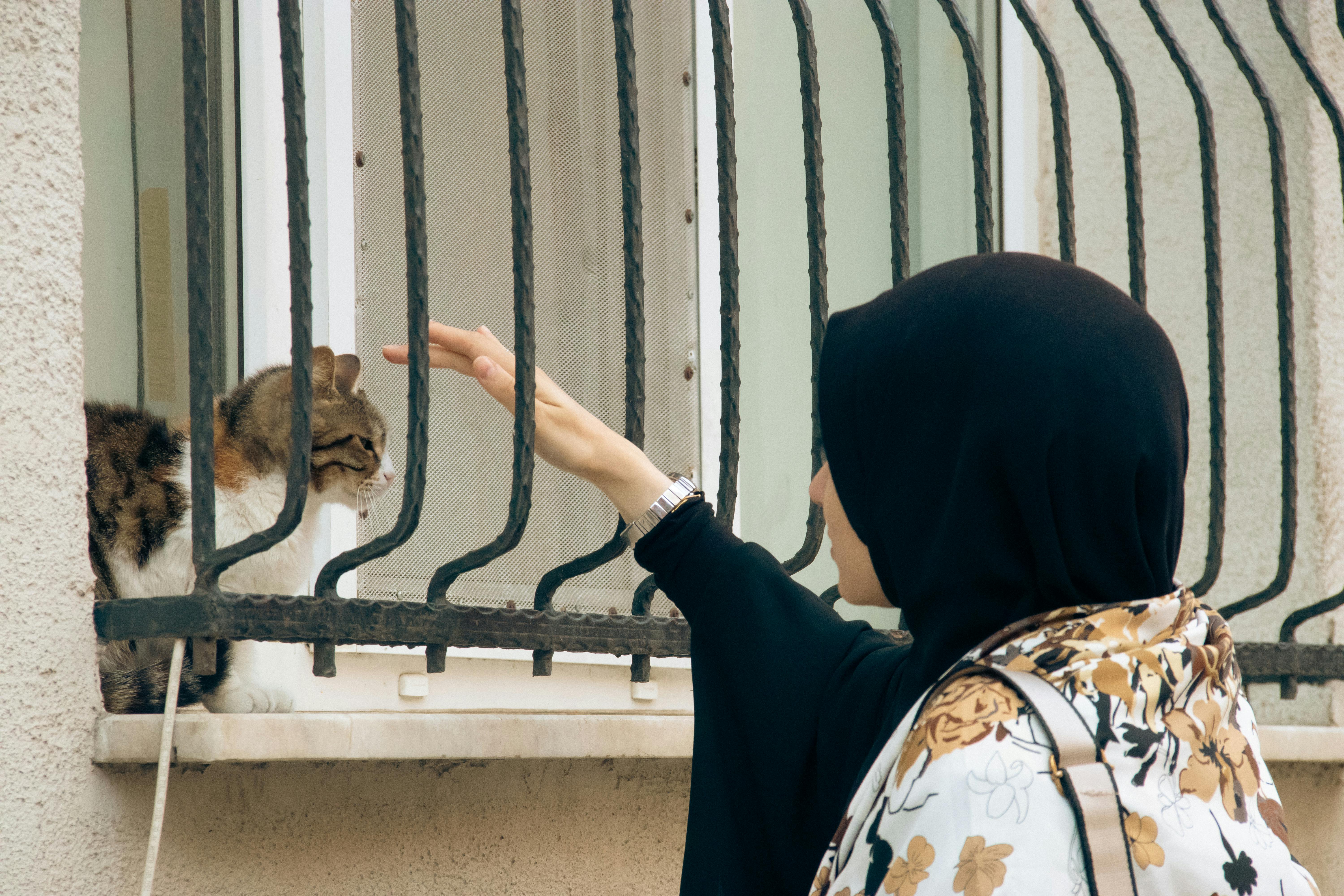 The Secret Language of Cats I KittyNook