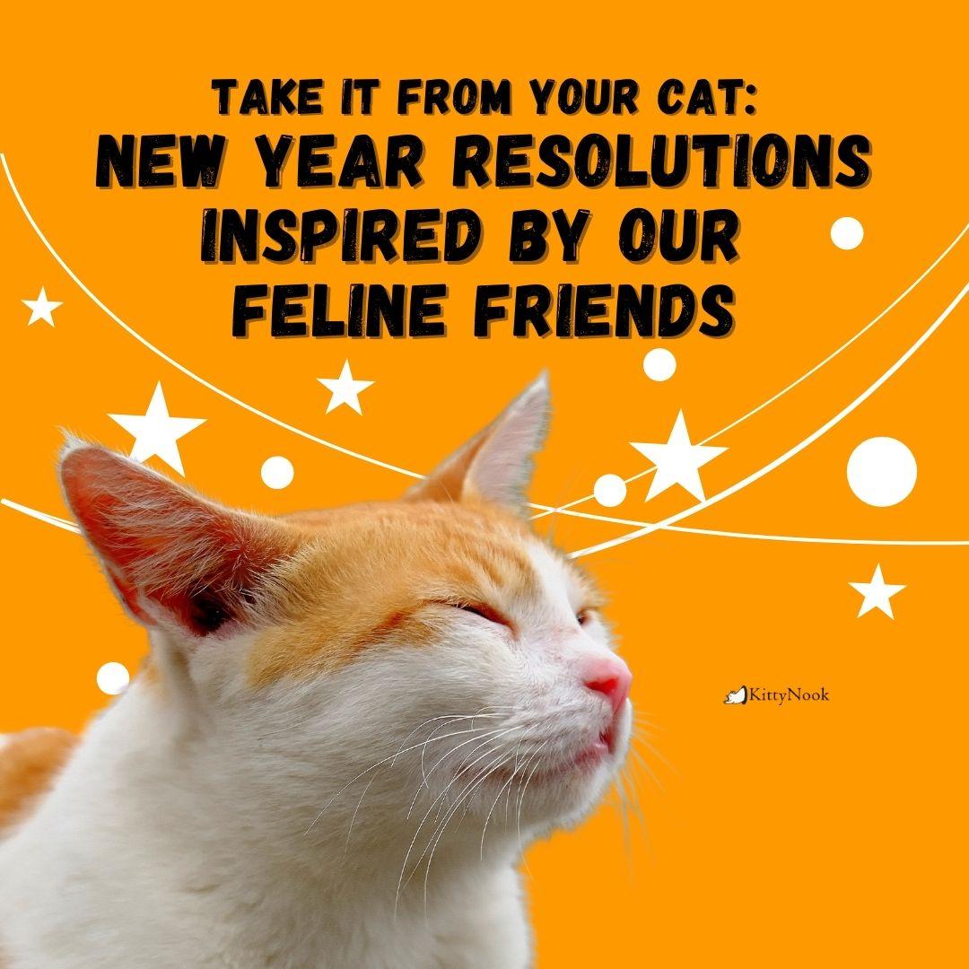 Take It From Your Cat: New Year Resolutions Inspired by Our Feline Friends