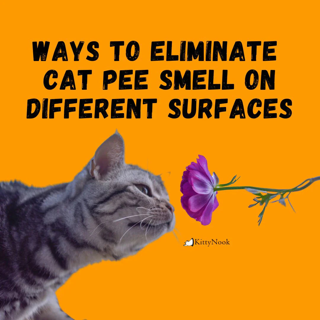 Ways to Eliminate Cat Pee Smell On Different Surfaces - KittyNook Cat Company
