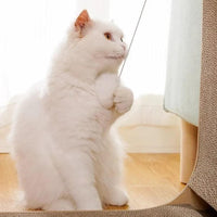 Thumbnail for Scratch-n-Sniff Cardboard Cat Scratcher Cat Toys KittyNook Cat Company