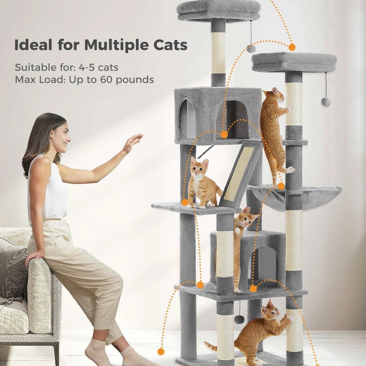 Multi-Level Cat Condo for Large Cats Cat Furniture KittyNook