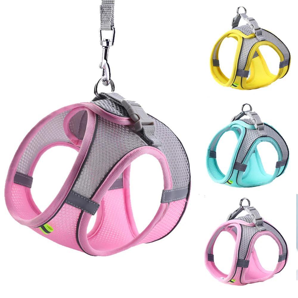 Sofy Breathable Cat Harness and Leash Pet Collars & Harnesses KittyNook Cat Company