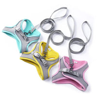 Thumbnail for Sofy Breathable Cat Harness and Leash Pet Collars & Harnesses KittyNook Cat Company