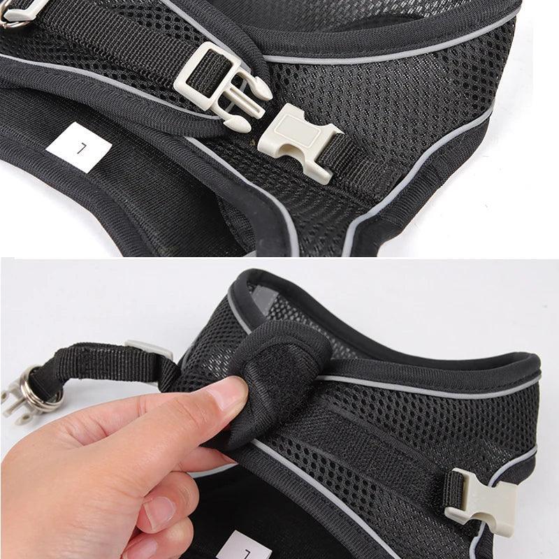 Sofy Breathable Cat Harness and Leash Pet Collars & Harnesses KittyNook Cat Company