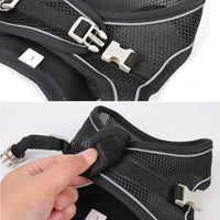 Thumbnail for Sofy Breathable Cat Harness and Leash Pet Collars & Harnesses KittyNook Cat Company
