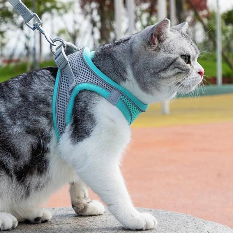 Sofy Breathable Cat Harness and Leash Pet Collars & Harnesses KittyNook Cat Company