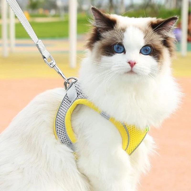 Sofy Breathable Cat Harness and Leash Pet Collars & Harnesses KittyNook Cat Company