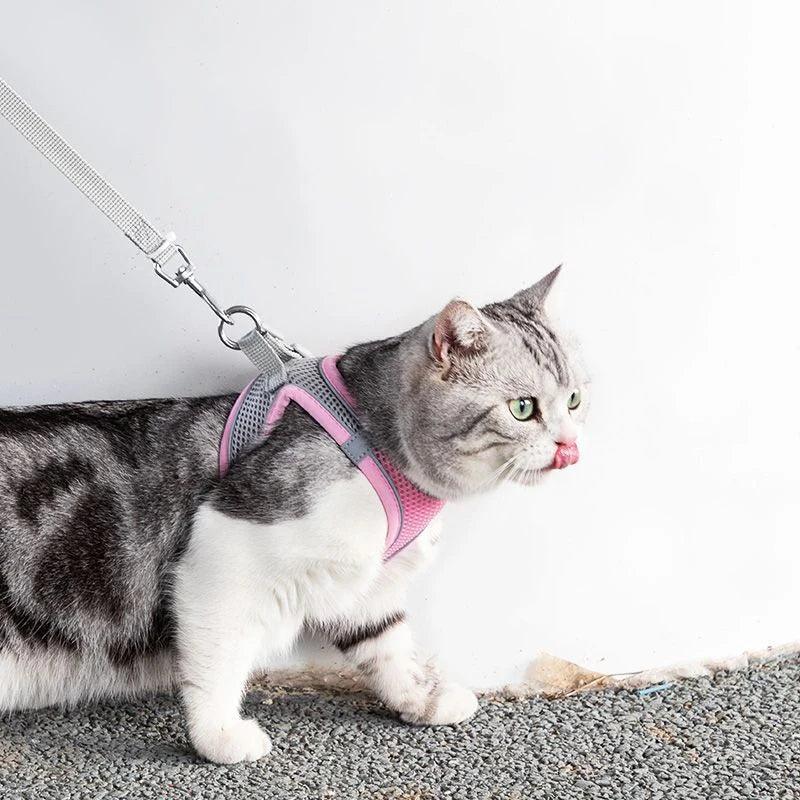 Sofy Breathable Cat Harness and Leash Pet Collars & Harnesses KittyNook Cat Company
