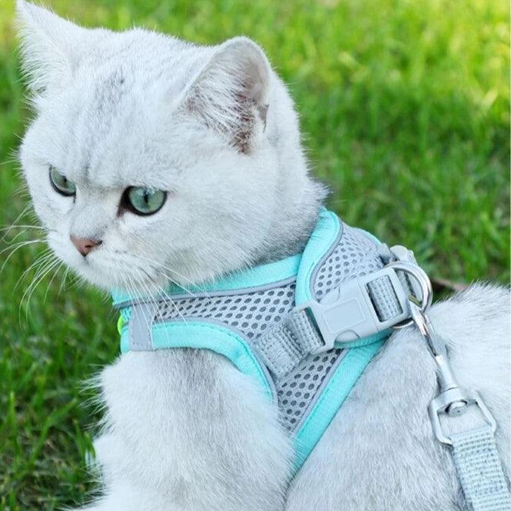 Sofy Breathable Cat Harness and Leash Pet Collars & Harnesses KittyNook Cat Company