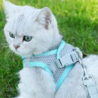 Thumbnail for Sofy Breathable Cat Harness and Leash Pet Collars & Harnesses KittyNook Cat Company