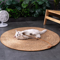 Thumbnail for A white cat lounges on the KittyNook Cat Co. Natural Rattan Cat Scratcher, playing with a stick near plants and a fan.