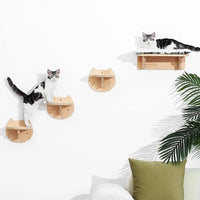 Thumbnail for Two cats lounge on KittyNook Cat Co.'s Luxurious Wall-Mounted Cat Paradise shelves above a couch with green pillows.