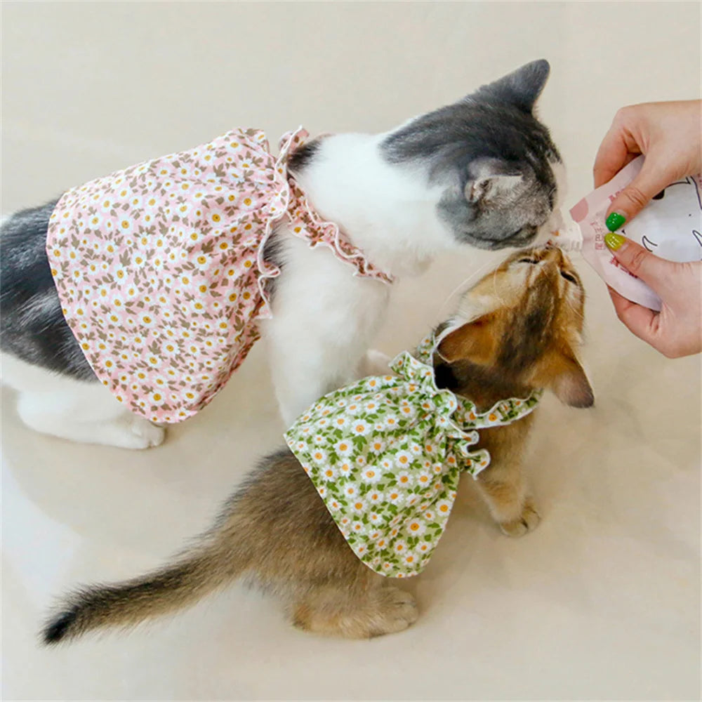 Two cats in KittyNook Cat Co. Summer Cotton Cat Dresses share a treat, showing breezy comfort on a light floor.