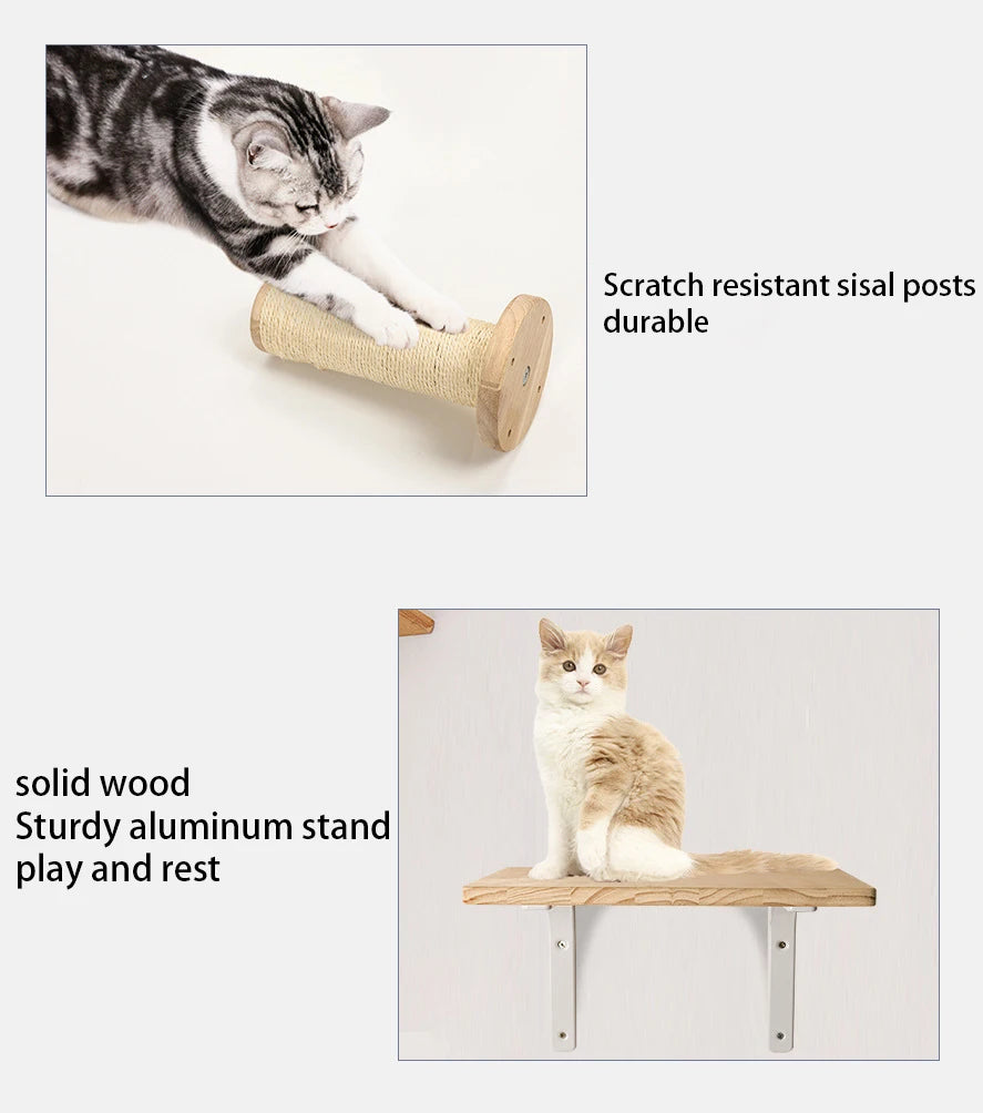 A cat enjoys the Luxurious Wall-Mounted Cat Paradise by KittyNook Cat Co.; another lounges on its solid wood shelf.