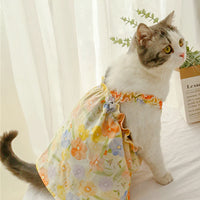 Thumbnail for A cat in a KittyNook Cat Co. Summer Cotton Cat Dress basks in comfort by the sunny window beside a plant.