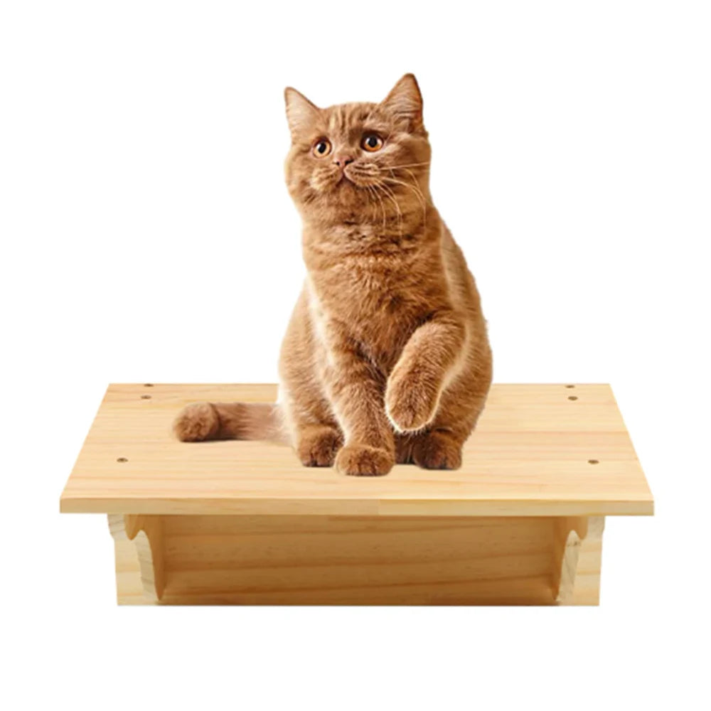 An orange cat lounges on the Luxurious Wall-Mounted Cat Paradise by KittyNook Cat Co., paw raised, against white.