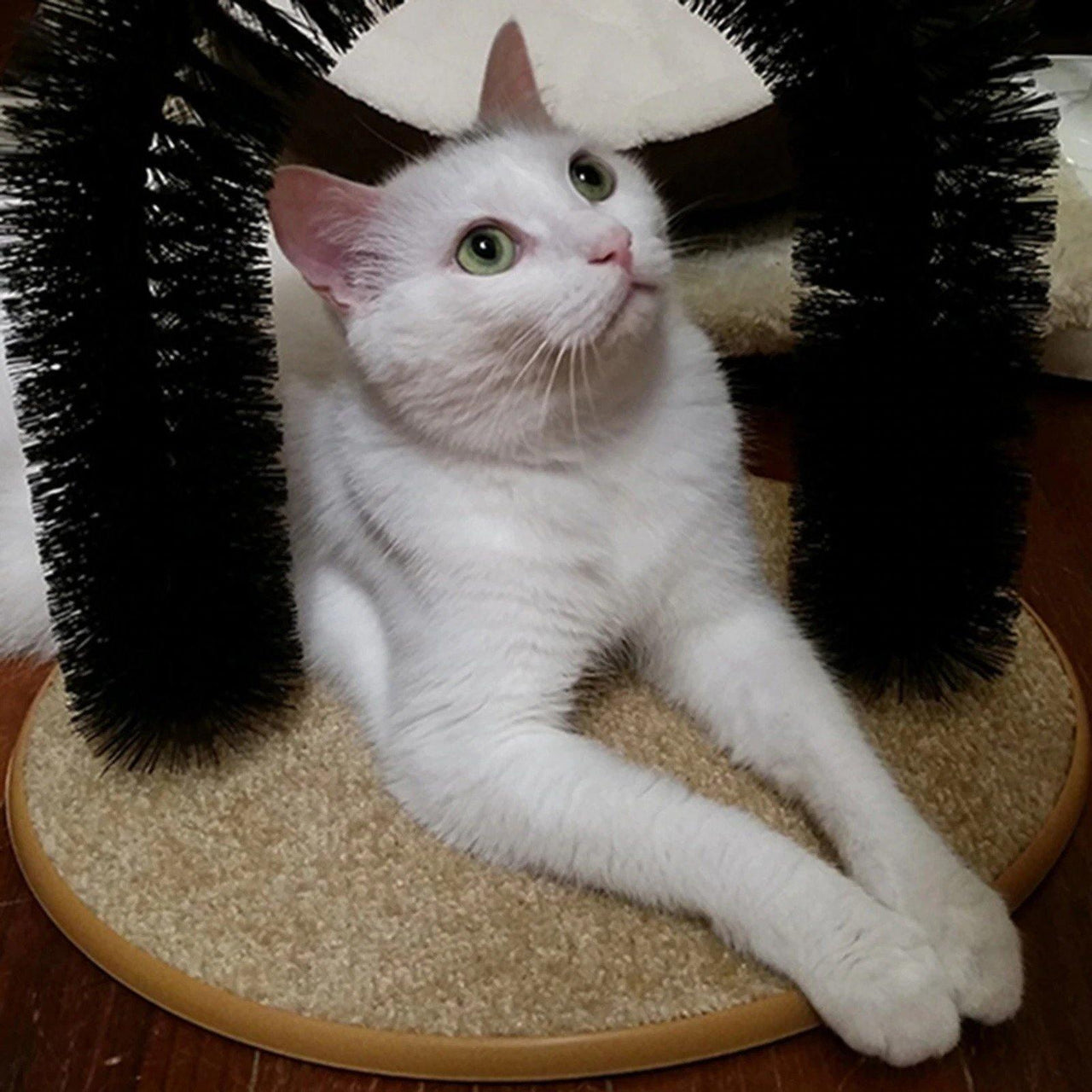 Cat Self-Groomer Arch Cat Beds KittyNook