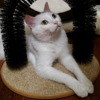 Thumbnail for Cat Self-Groomer Arch Cat Beds KittyNook