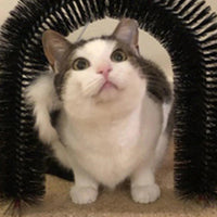 Thumbnail for Cat Self-Groomer Arch Cat Beds KittyNook