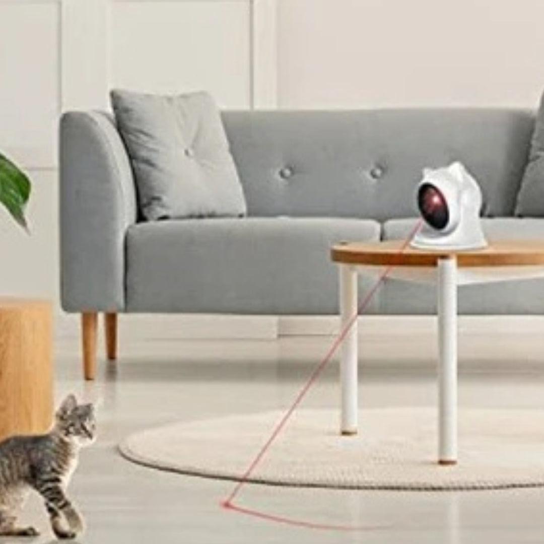 CatCam Interactive Cat Laser Pointer Cat Toys KittyNook Cat Company