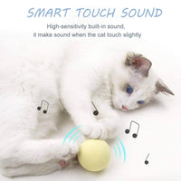 Thumbnail for Catnip Training Ball Smart Cat Toy With Sound Cat Toys KittyNook