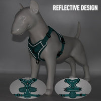 Thumbnail for Catventures Leash and Harness Pet Collars & Harnesses KittyNook Cat Company