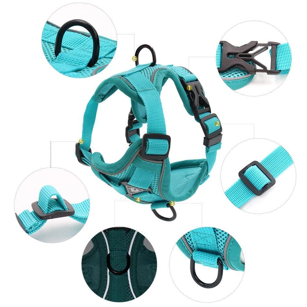 Catventures Leash and Harness Pet Collars & Harnesses KittyNook Cat Company