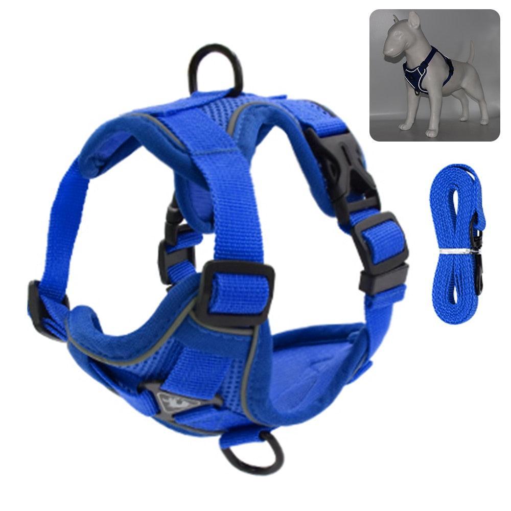 Catventures Leash and Harness Pet Collars & Harnesses KittyNook Cat Company Blue S
