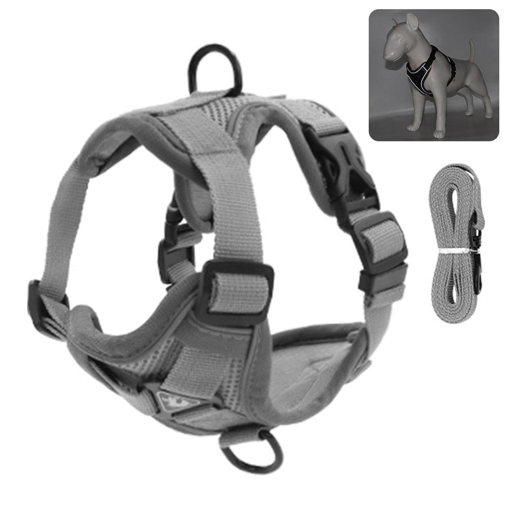 Catventures Leash and Harness Pet Collars & Harnesses KittyNook Cat Company Gray S