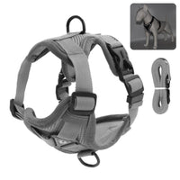 Thumbnail for Catventures Leash and Harness Pet Collars & Harnesses KittyNook Cat Company Gray S