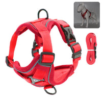 Thumbnail for Catventures Leash and Harness Pet Collars & Harnesses KittyNook Cat Company Red S