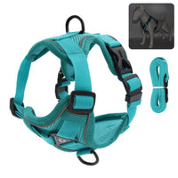 Thumbnail for Catventures Leash and Harness Pet Collars & Harnesses KittyNook Cat Company Teal S