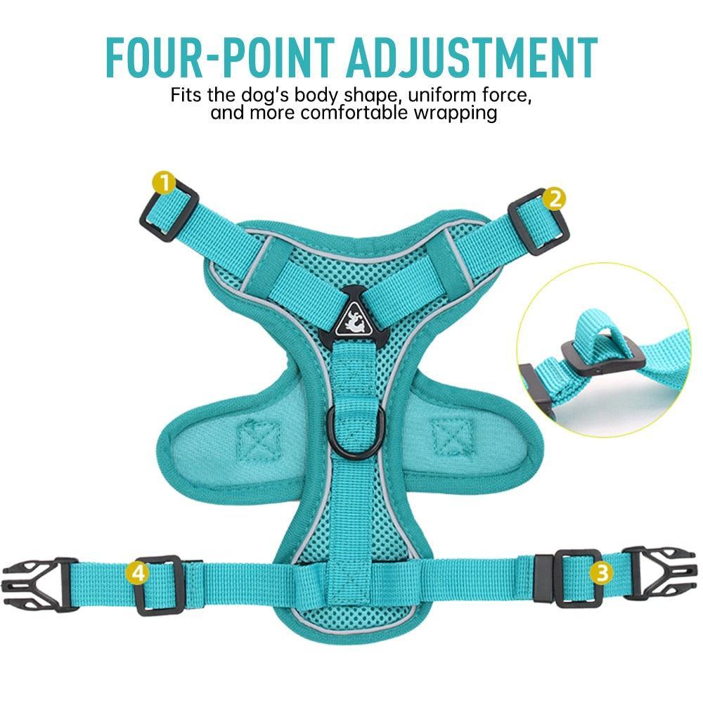 Catventures Leash and Harness Pet Collars & Harnesses KittyNook Cat Company