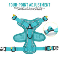 Thumbnail for Catventures Leash and Harness Pet Collars & Harnesses KittyNook Cat Company