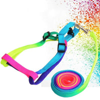 Thumbnail for Colorburst Lupine Pet Leash Pet Collars & Harnesses KittyNook Cat Company