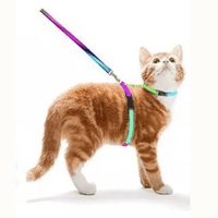 Thumbnail for Colorburst Lupine Pet Leash Pet Collars & Harnesses KittyNook Cat Company