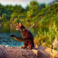 Thumbnail for Colorburst Lupine Pet Leash Pet Collars & Harnesses KittyNook Cat Company