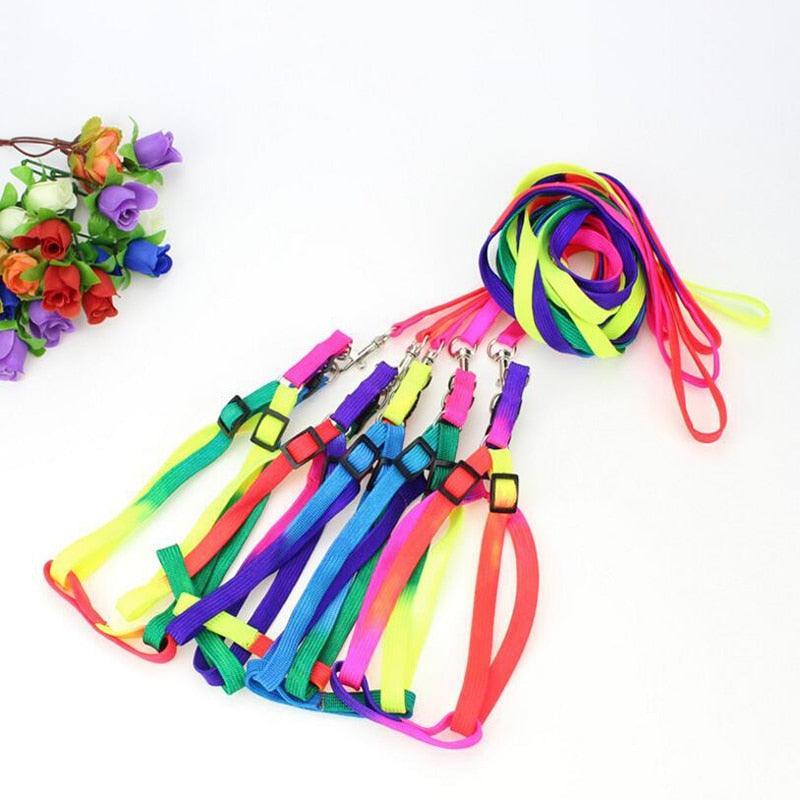 Colorburst Lupine Pet Leash Pet Collars & Harnesses KittyNook Cat Company