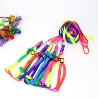 Thumbnail for Colorburst Lupine Pet Leash Pet Collars & Harnesses KittyNook Cat Company