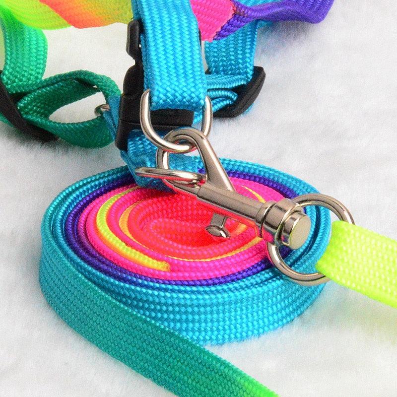 Colorburst Lupine Pet Leash Pet Collars & Harnesses KittyNook Cat Company