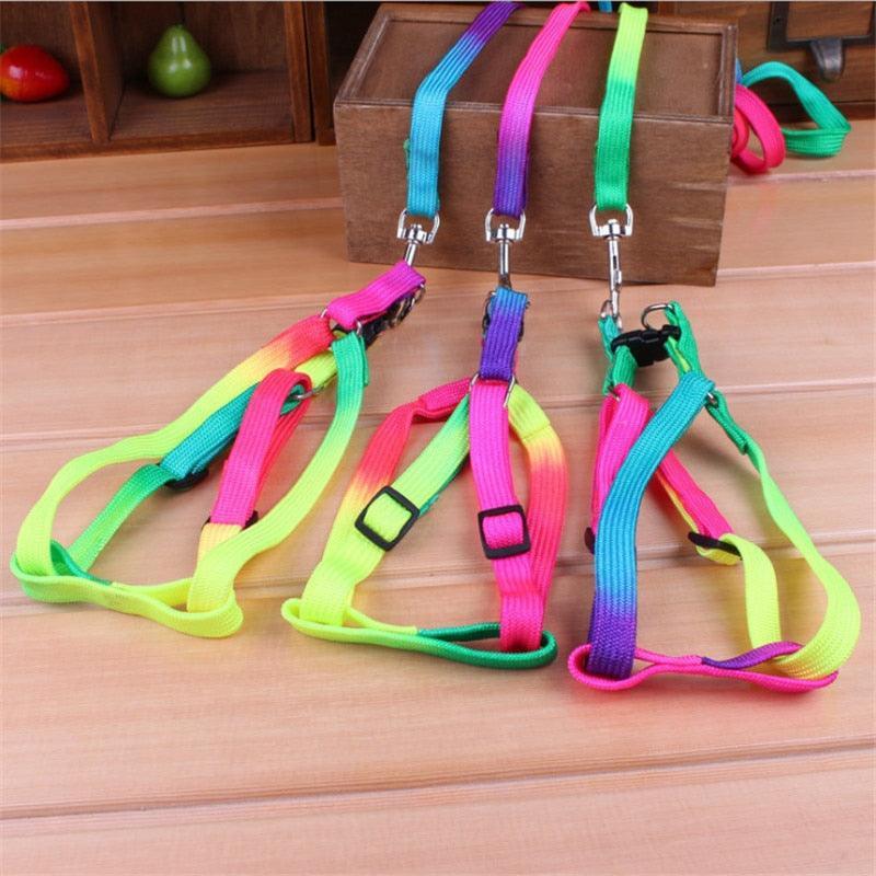 Colorburst Lupine Pet Leash Pet Collars & Harnesses KittyNook Cat Company Default Title