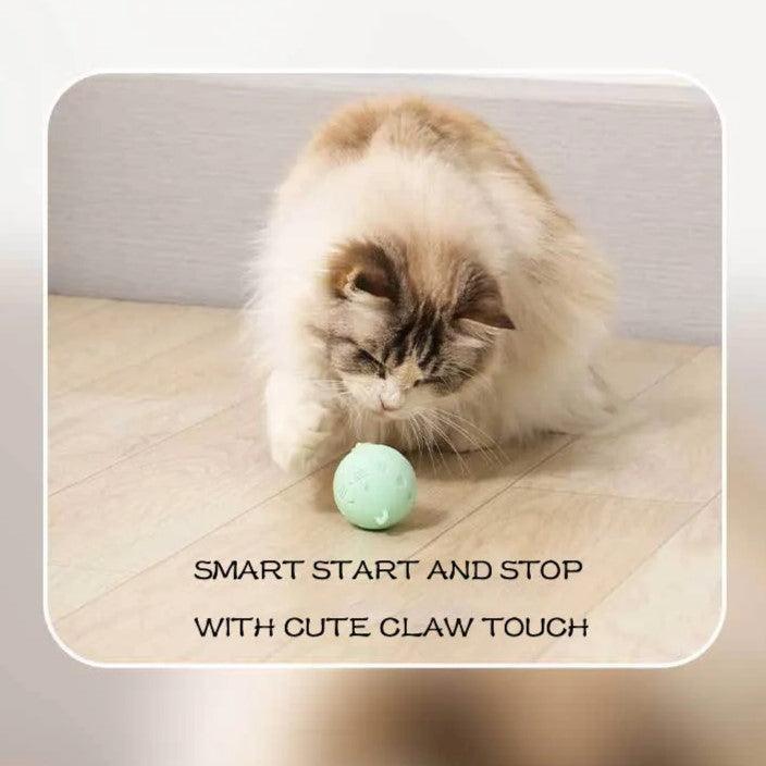 Crazy Ball Interactive Cat Toy Cat Toys KittyNook Cat Company