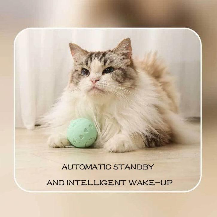 Crazy Ball Interactive Cat Toy Cat Toys KittyNook Cat Company