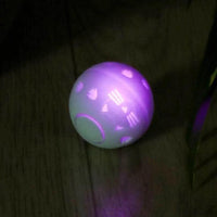 Thumbnail for Crazy Ball Interactive Cat Toy Cat Toys KittyNook Cat Company