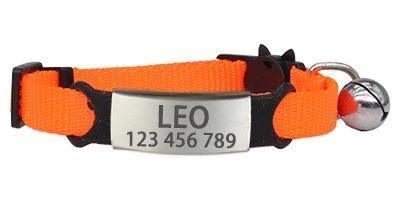 Engrave-Your-Name Cat Collar Pet Collars & Harnesses KittyNook Orange & Silver