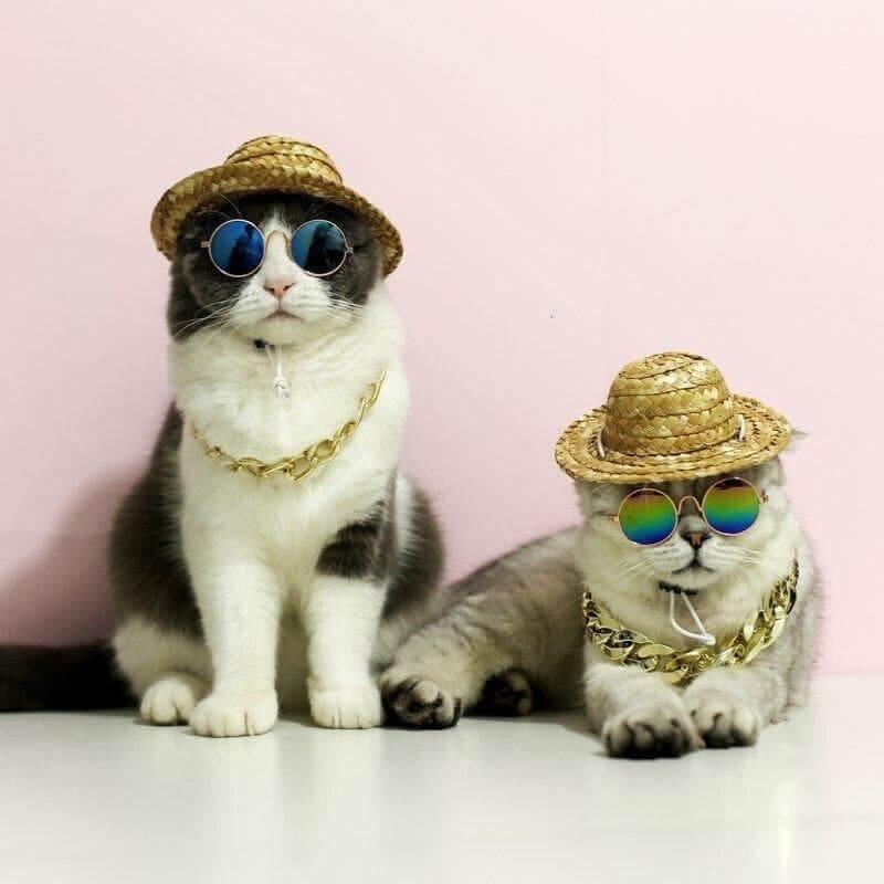 Fashionesque Multicolored Pet Glasses Cat Apparel KittyNook
