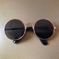 Thumbnail for Fashionesque Multicolored Pet Glasses Cat Apparel KittyNook Transparent Black M