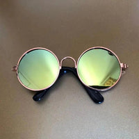 Thumbnail for Fashionesque Multicolored Pet Glasses Cat Apparel KittyNook Reflective Lime M